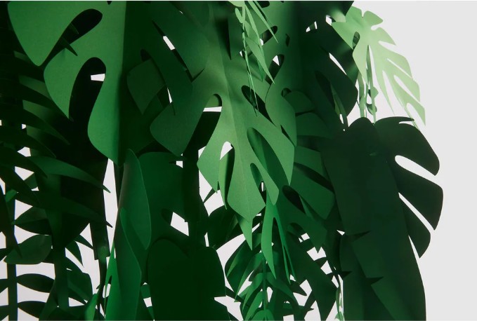 Balení dvou náhradních základních čepelí-3